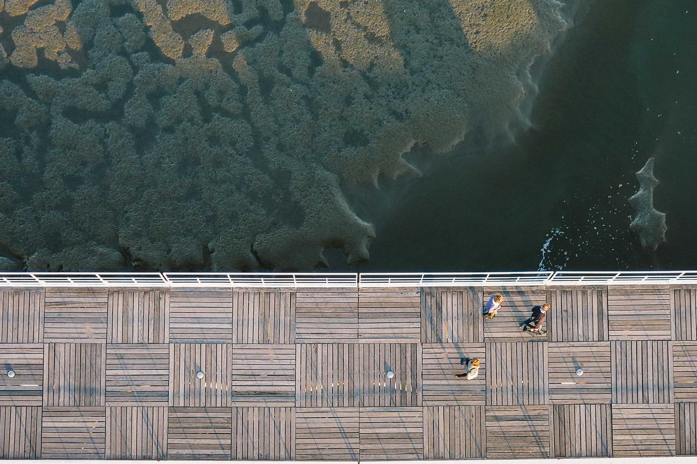 Id explicabo suscipit